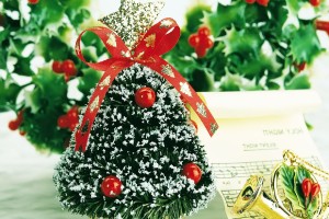 Sretan Božić i Nova godina!