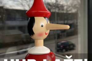 HUB-OV DIREKTOR ADROVIĆ IZNOSI NEISTINE I SPINOVE U VEČERNJEM LISTU!